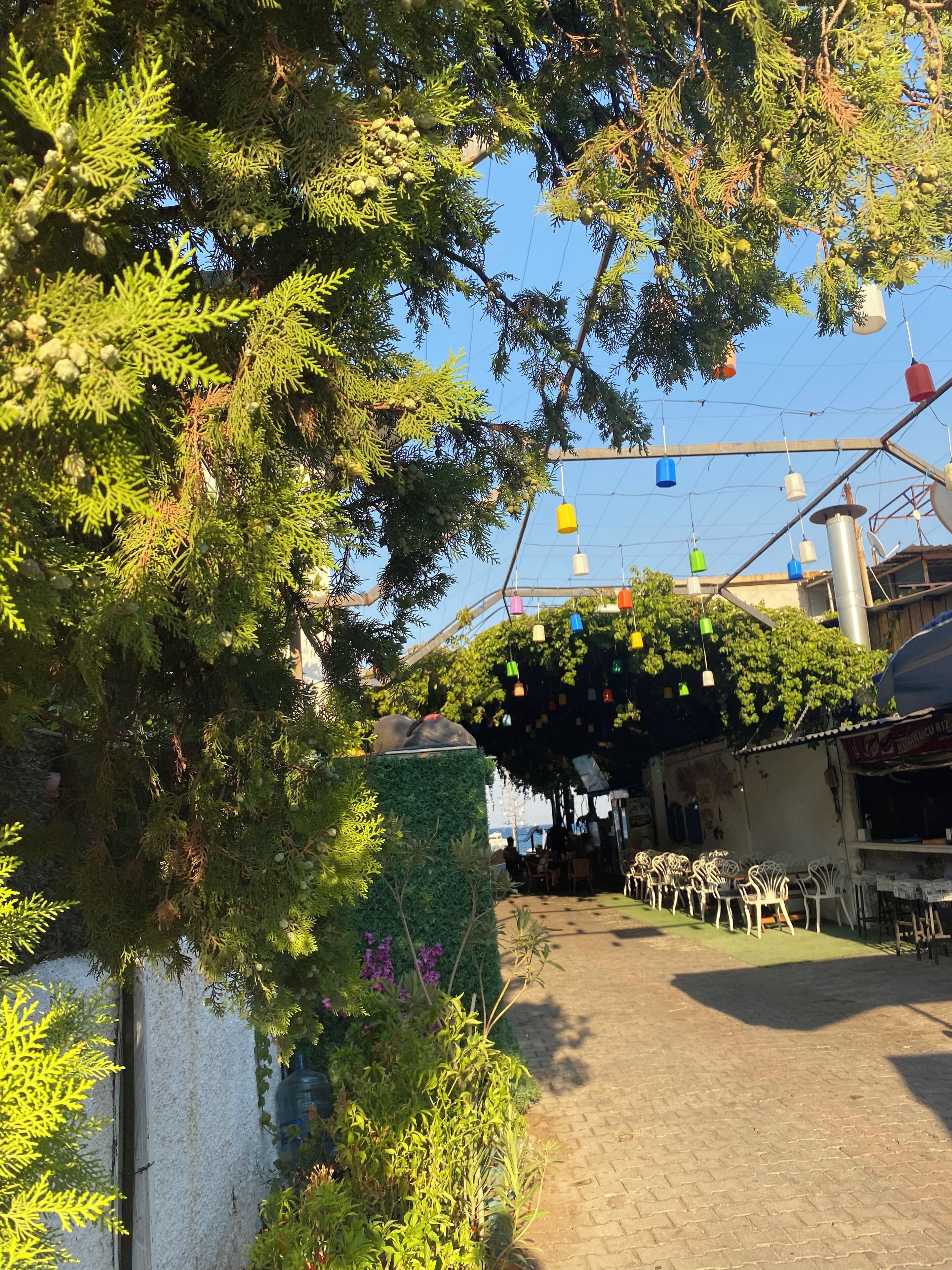 A courtyard with outdoor seating, a pergola with hanging lights, and a view of the sea.