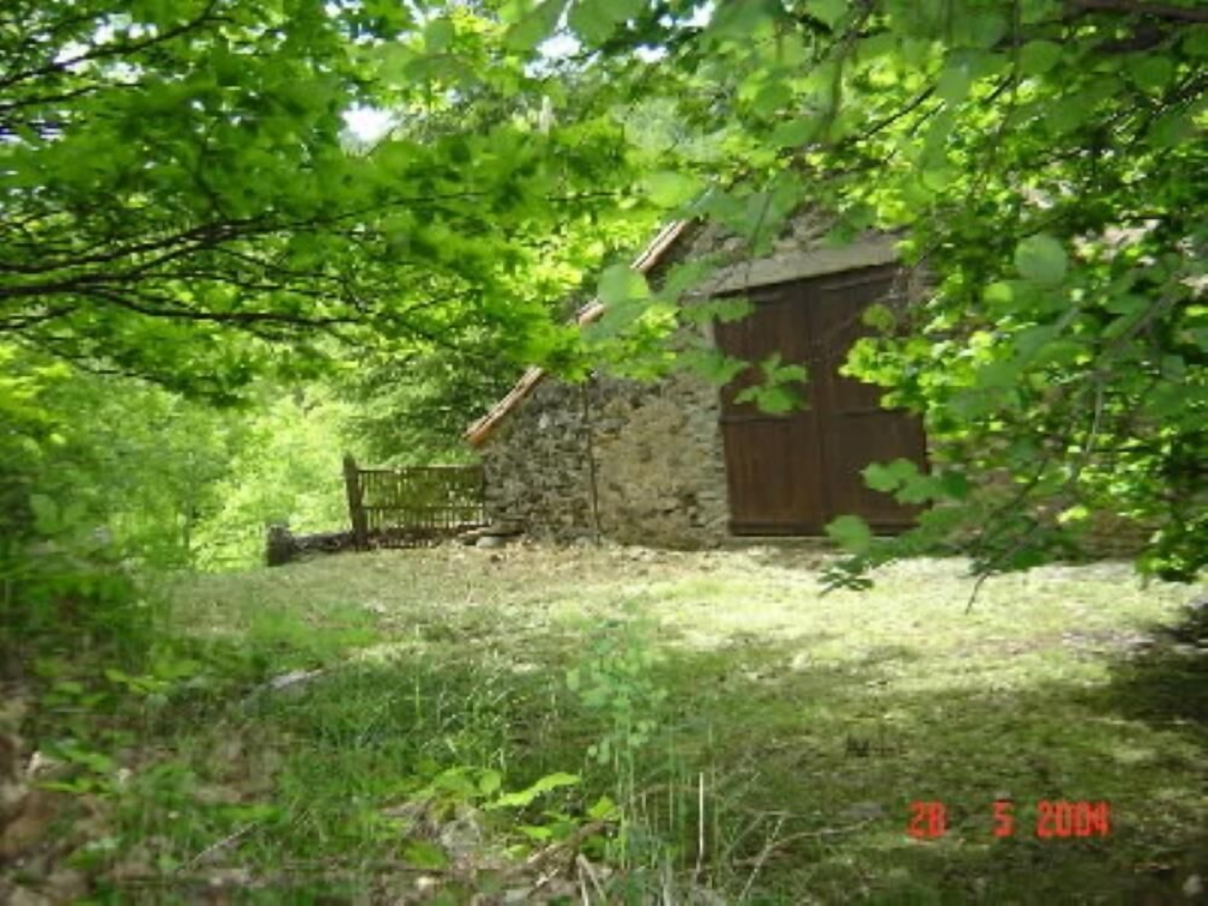 Garden, Park