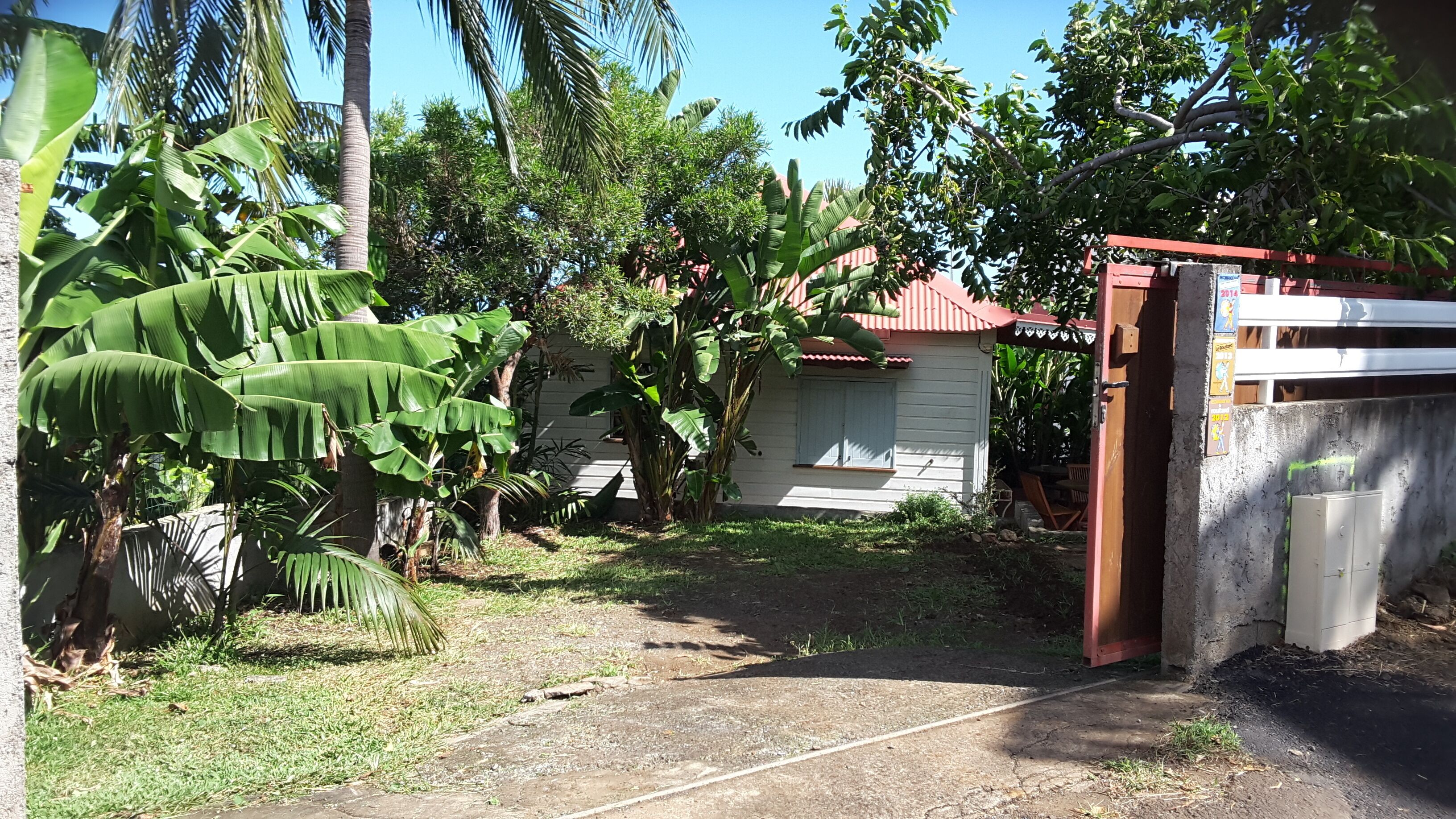 A residential area with a white house, a concrete pathway, and lush greenery including banana trees.