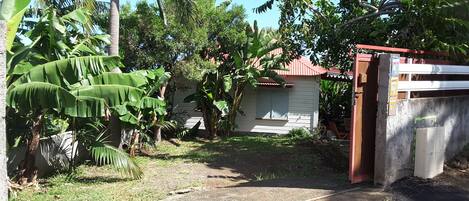 A residential area with a white house, a concrete pathway, and lush greenery including banana trees.