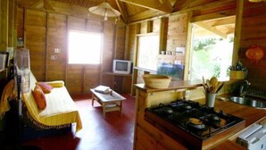 A wooden cabin interior with a sofa, television, kitchen area, and large windows. - Charming home comfort (LE PITON SAINT LEU)