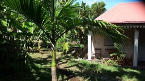 A garden with a palm tree, a wooden bench, and a building with a red roof. - Charming home comfort (LE PITON SAINT LEU)