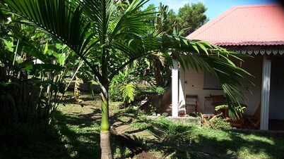 Confort en el hogar con Encanto