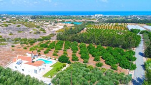 Vue aérienne d’une propriété côtière dotée d’une piscine, d’un vignoble et d’une route qui la longe.