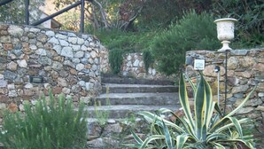 Gradians de pedra que condueixen a un edifici, envoltat de plantes diverses i una urna decorativa.