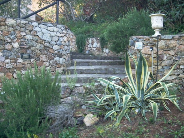 A stone staircase leading up to a building, surrounded by various plants and a decorative urn.