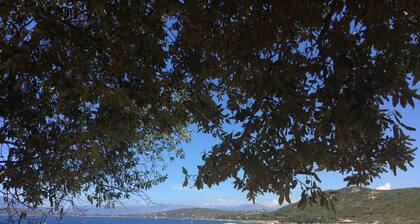VILLA Grand Confort 5 bd facing the beach 150m Golfe d'Ajaccio 10 mn PORTICCIO
