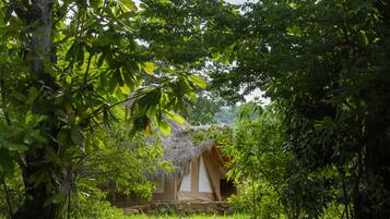 A thatched-roof hut surrounded by lush greenery and trees.