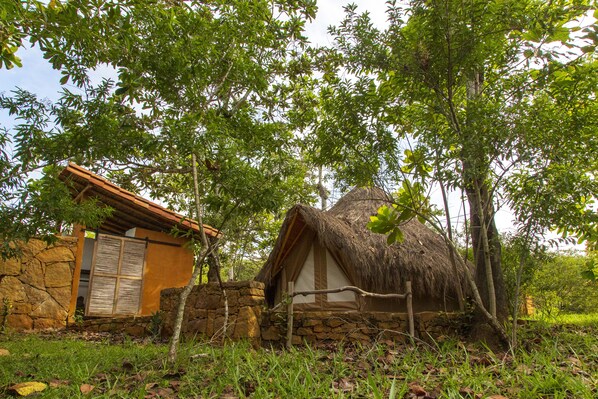 A rustic house with a thatched roof, surrounded by lush greenery and trees.