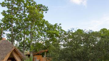 Minibar, kostenloses WLAN, Bettwäsche, Rollstuhlgeeignet