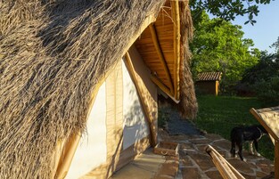 Glamping Carpa Premium | Minibar, free WiFi, bed sheets, wheelchair access