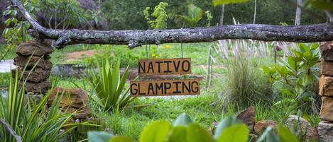 Experience NATIVO GLAMPING in a serene natural setting surrounded by lush greenery and scenic rock formations.