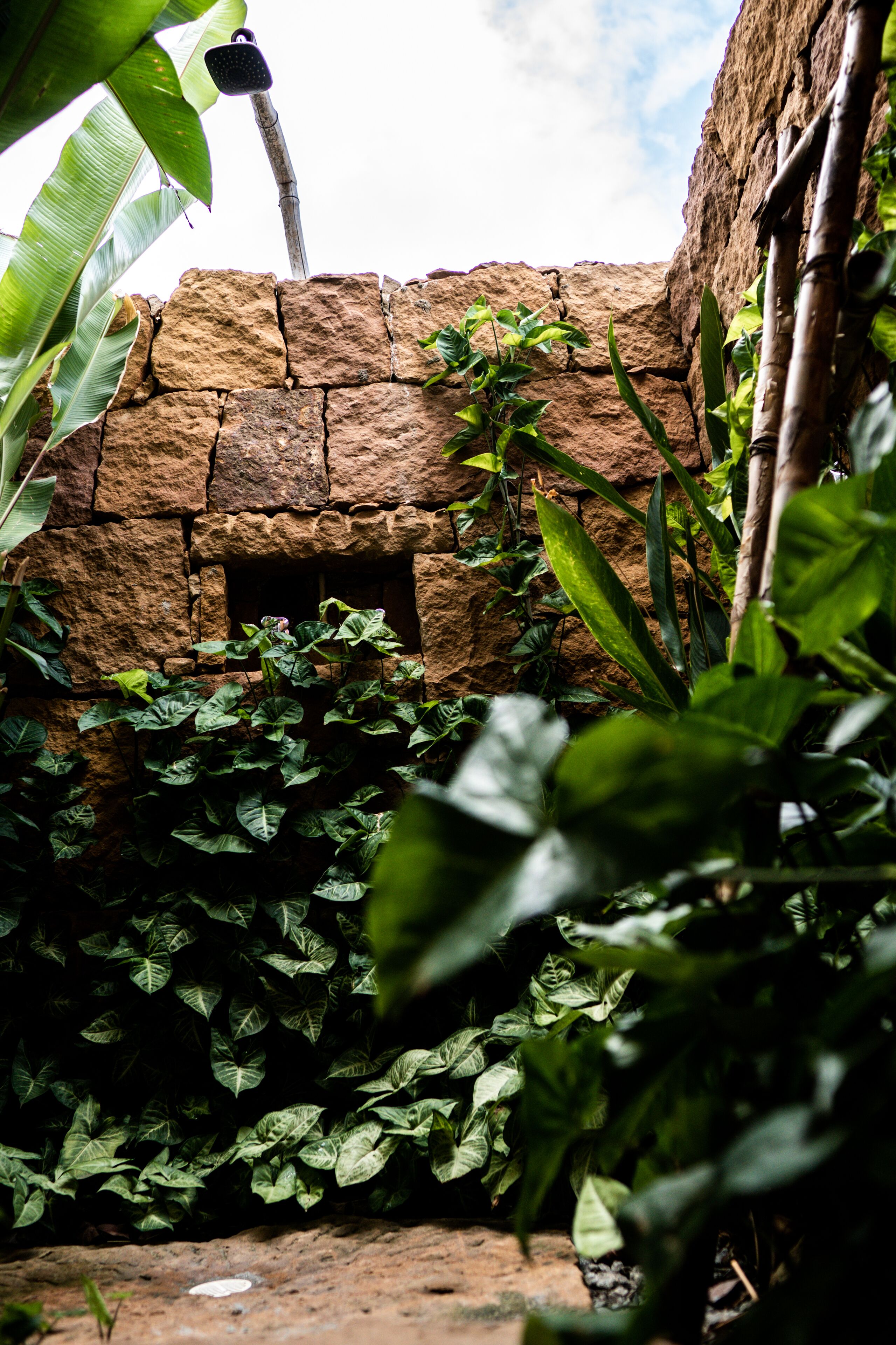 A stone wall with a small opening, surrounded by dense green foliage.