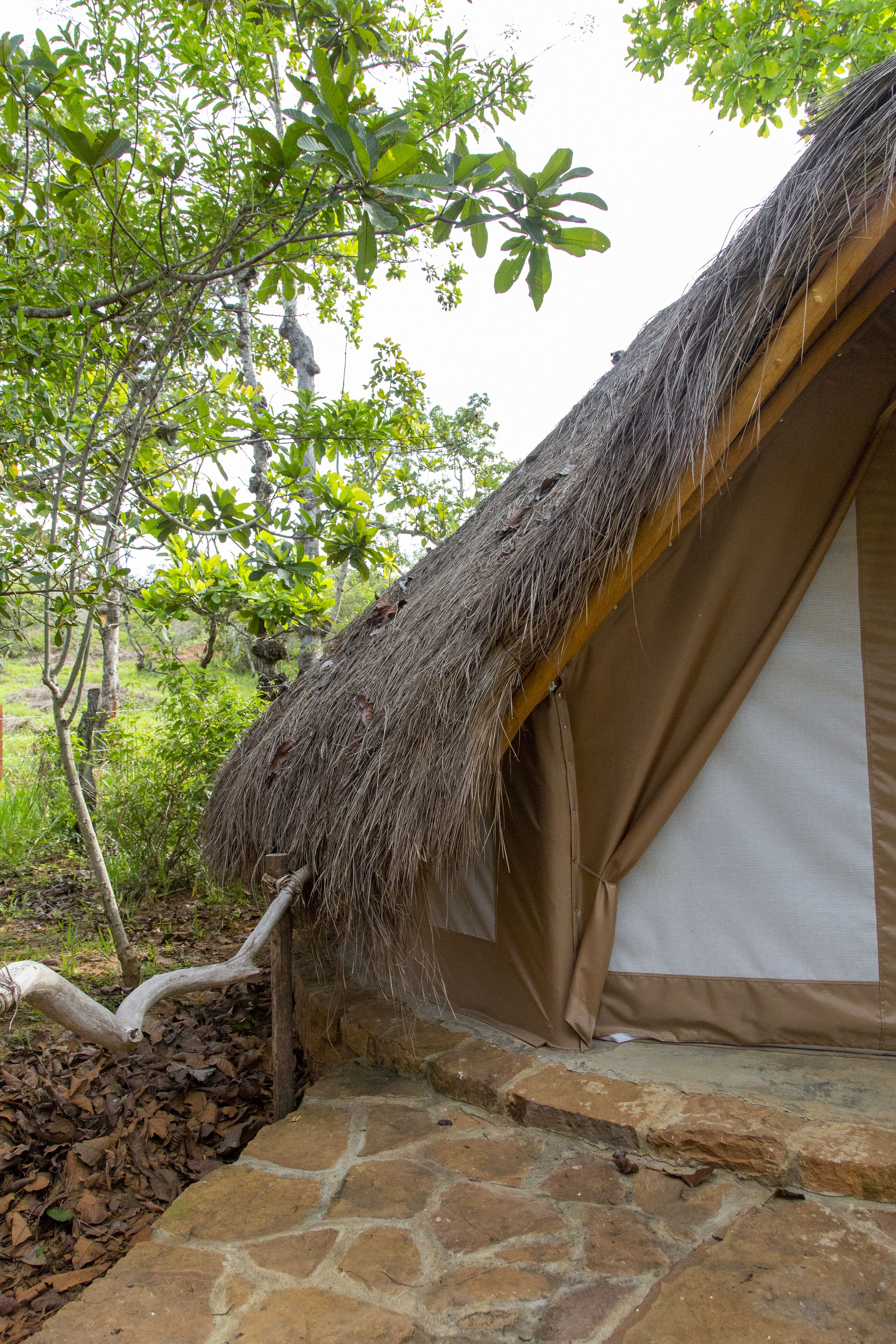 A thatched-roof structure with a stone foundation, surrounded by greenery.