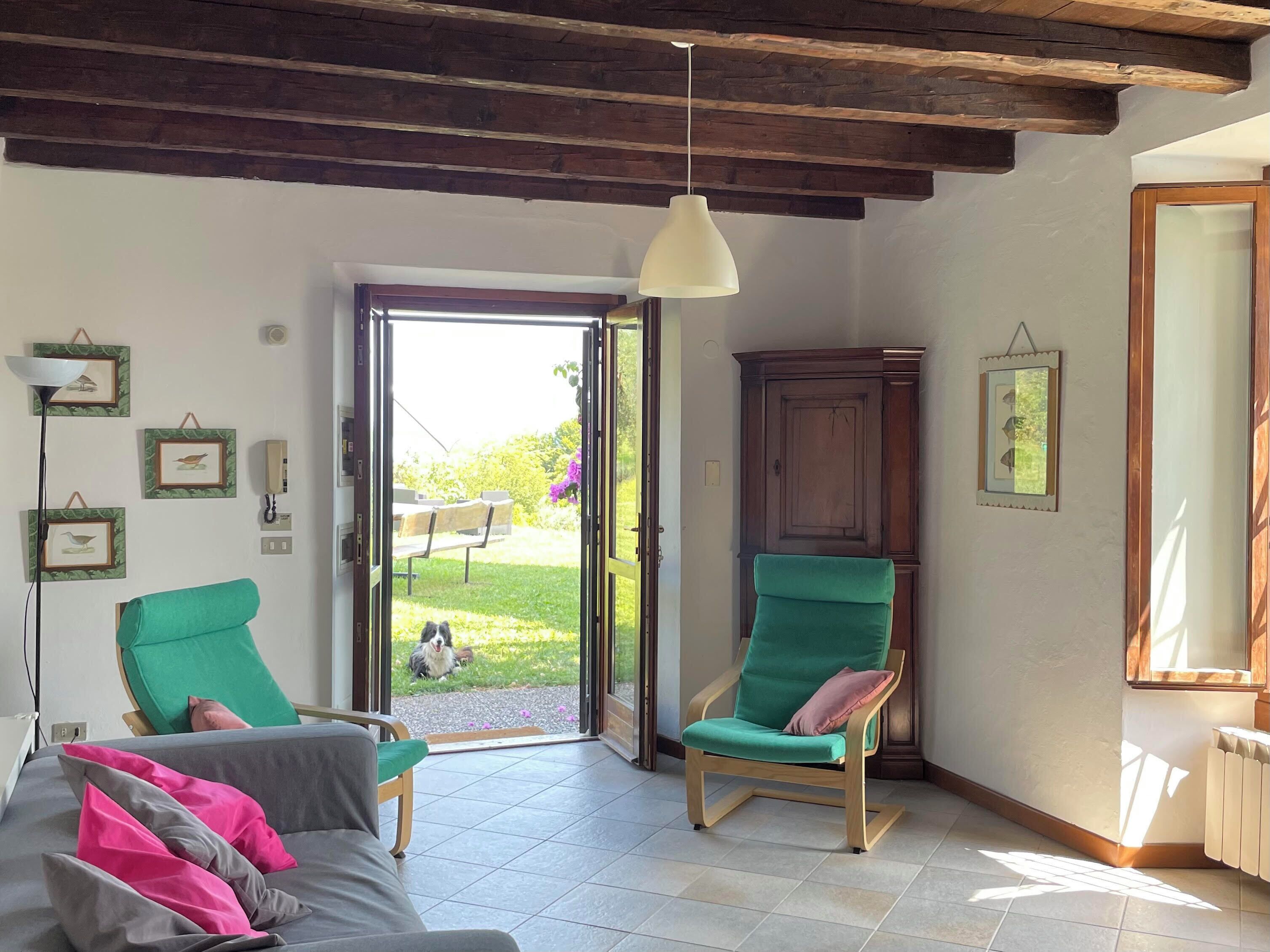 Une pièce avec un plafond en bois, un fauteuil vert, un canapé gris et une porte donnant sur l’extérieur.