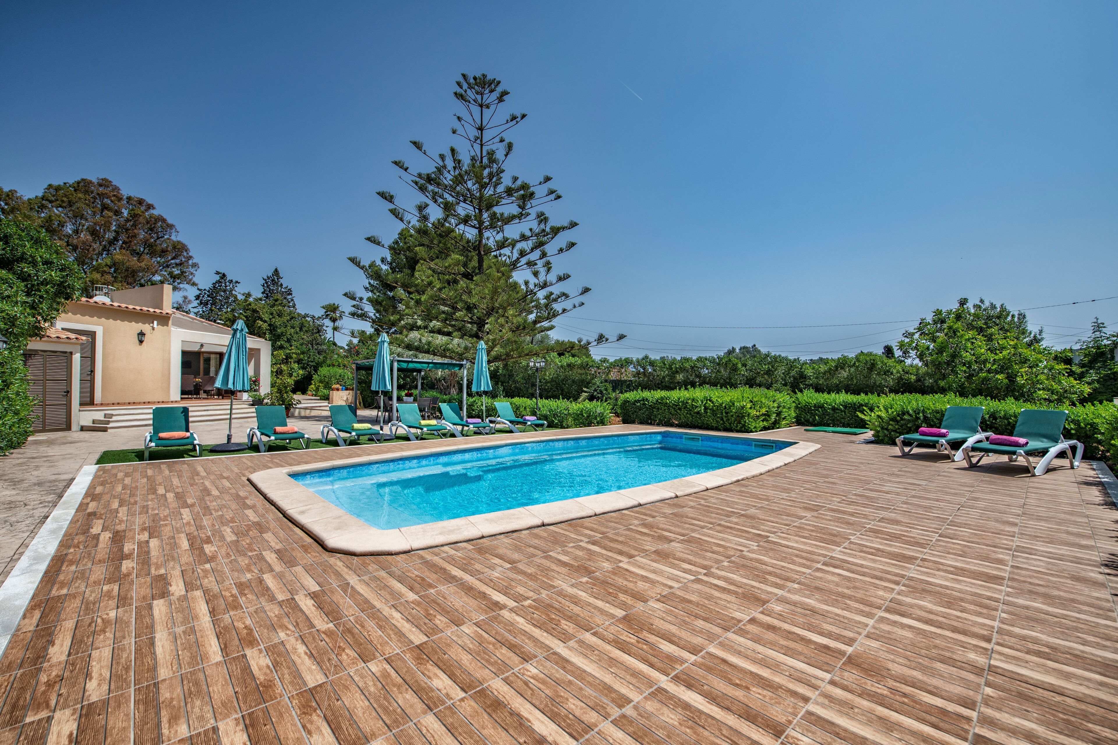 A swimming pool with lounge chairs and umbrellas, surrounded by greenery and a clear sky.