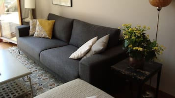 Smart-tv, een dvd-speler, boeken en een filmbibliotheek