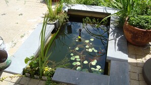 Ein kleiner Teich mit Seerosen und verschiedenen Pflanzen, umgeben von einer Pflasterterrasse und Blumentöpfen.