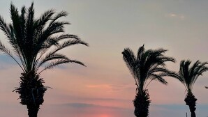 A beach with palm trees and a sunset over the water. - Poseidon 3, seafront 3 bedroom apartment with unobstructed beach and sea views. (Calis Plaji)
