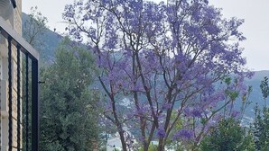 Une piscine offrant une vue sur des arbres aux fleurs violettes et un paysage montagneux.