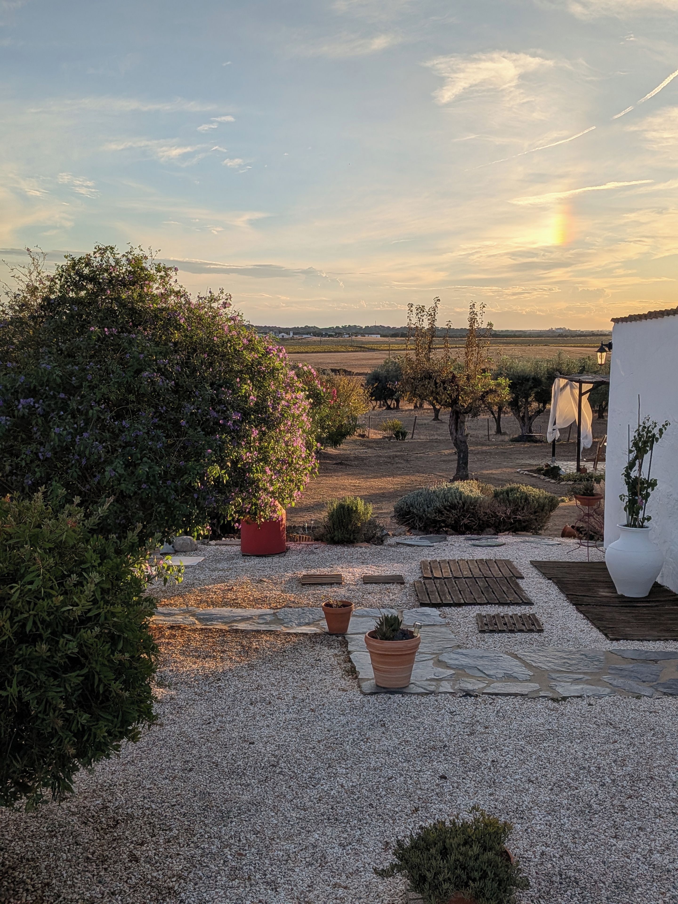 A garden with gravel paths, potted plants, and a view of distant fields.