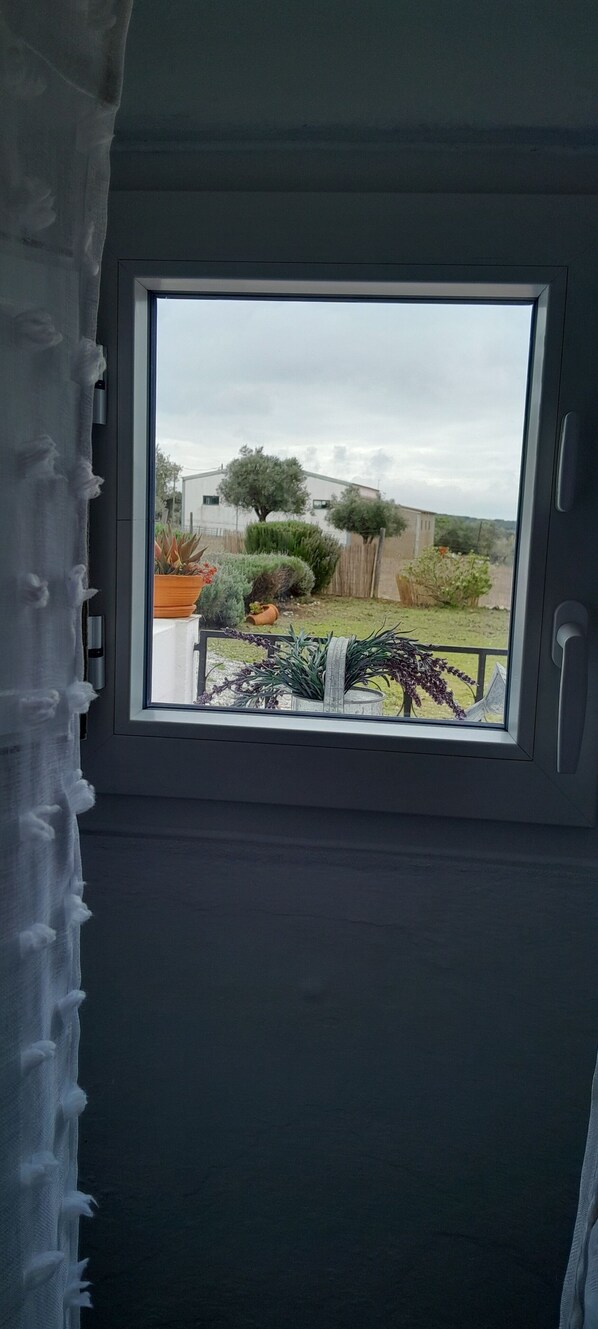 Une fenêtre donnant sur un jardin et un bâtiment.