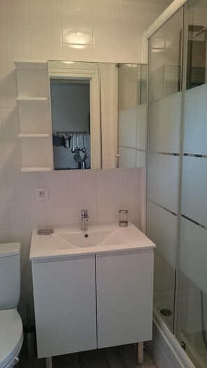 Chuveiro, secador de cabelo, toalhas de banho, papel higiênico