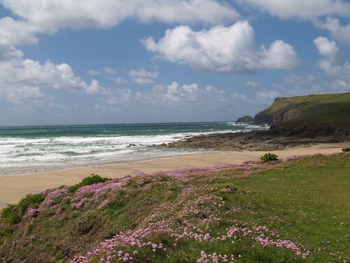 Delightful cosy cottage nr Port Isaac,coast path,beaches,woods.Dogs welcome free