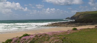 Charmant cottage confortable nr Port Isaac, chemin de la côte, plages et bois Animaux acceptés