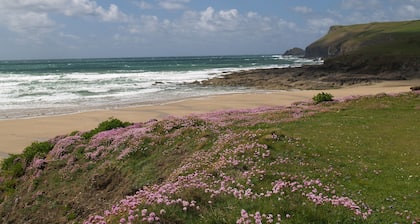 Delightful cosy cottage nr Port Isaac,coast path,beaches,woods.Dogs welcome free