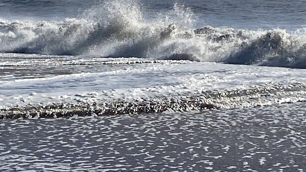 A beach with waves crashing onto the shore and a clear sky. - Coppice, Entire 1 bedroom annex, pet friendly. EV Charger.  (Barton on Sea)