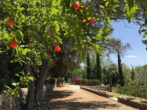 Property grounds - **PREMIUM PROPERTY** Beautiful finca with spectacular views and HEATED POOL (In Esporles)