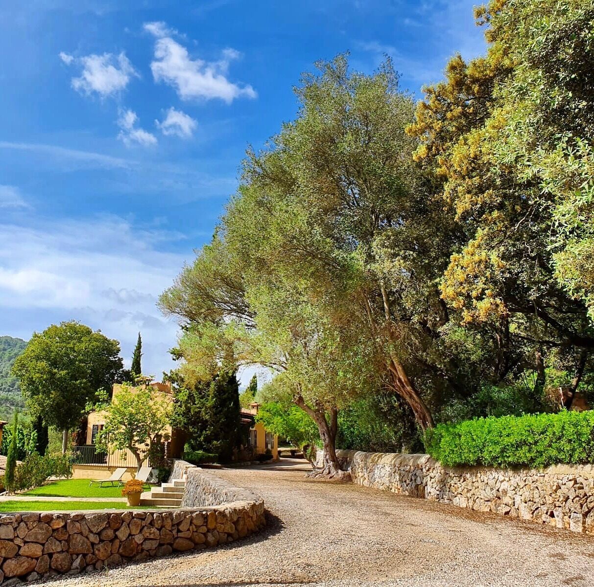 Terrein van de accommodatie