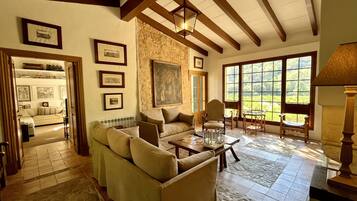 Smart TV, fireplace, books, music library