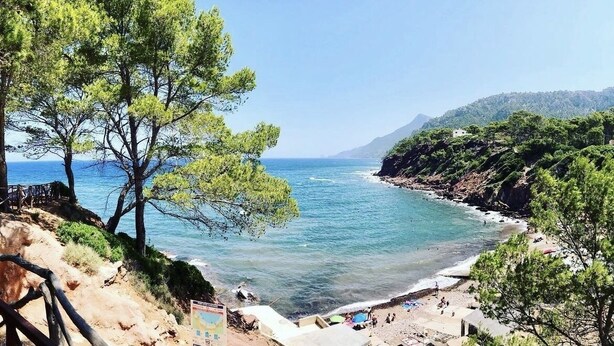 A coastal beach with clear blue waters, rocky cliffs, and pine trees. - **PREMIUM PROPERTY** Beautiful finca with spectacular views and HEATED POOL (In Esporles)