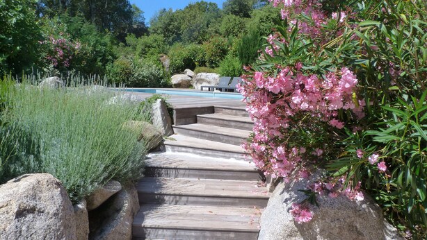 Una escalera de madera rodeada de grandes rocas y plantas florecientes de color rosa, que lleva a una zona de piscina.