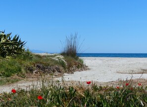 Sur la plage, chaise longue