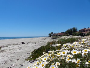 Sur la plage, chaise longue