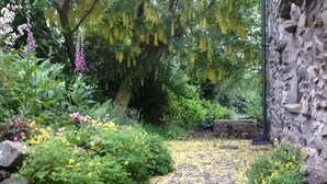 A stone pathway in a garden with yellow flowers and green foliage. - Detached, romantic, homely barn. Peaceful with lovely views. Garden. New kitchen (Kendal)