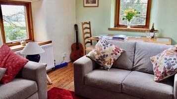 Smart TV, fireplace, Netflix, books