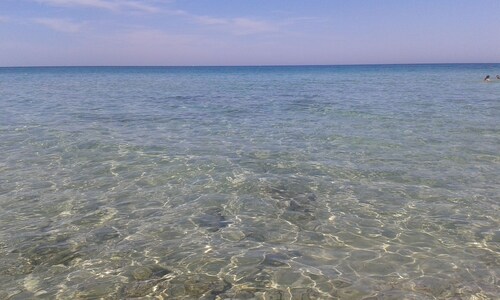 Trulli in Apulia with pool and pine forest with hammocks....... a fairy tale!