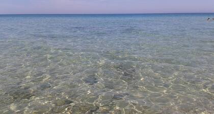 Trulli in Apulia with pool and pine forest with hammocks....... a fairy tale!