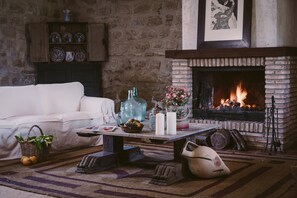 TV, fireplace, books, music library