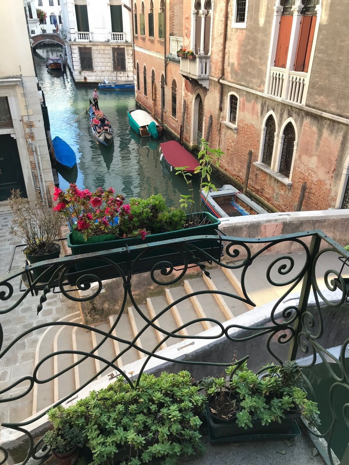 Image de profil de l’hôte