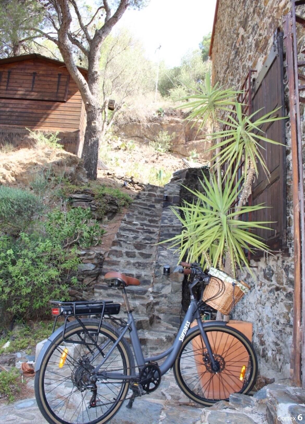 Terrain de l’hébergement 
