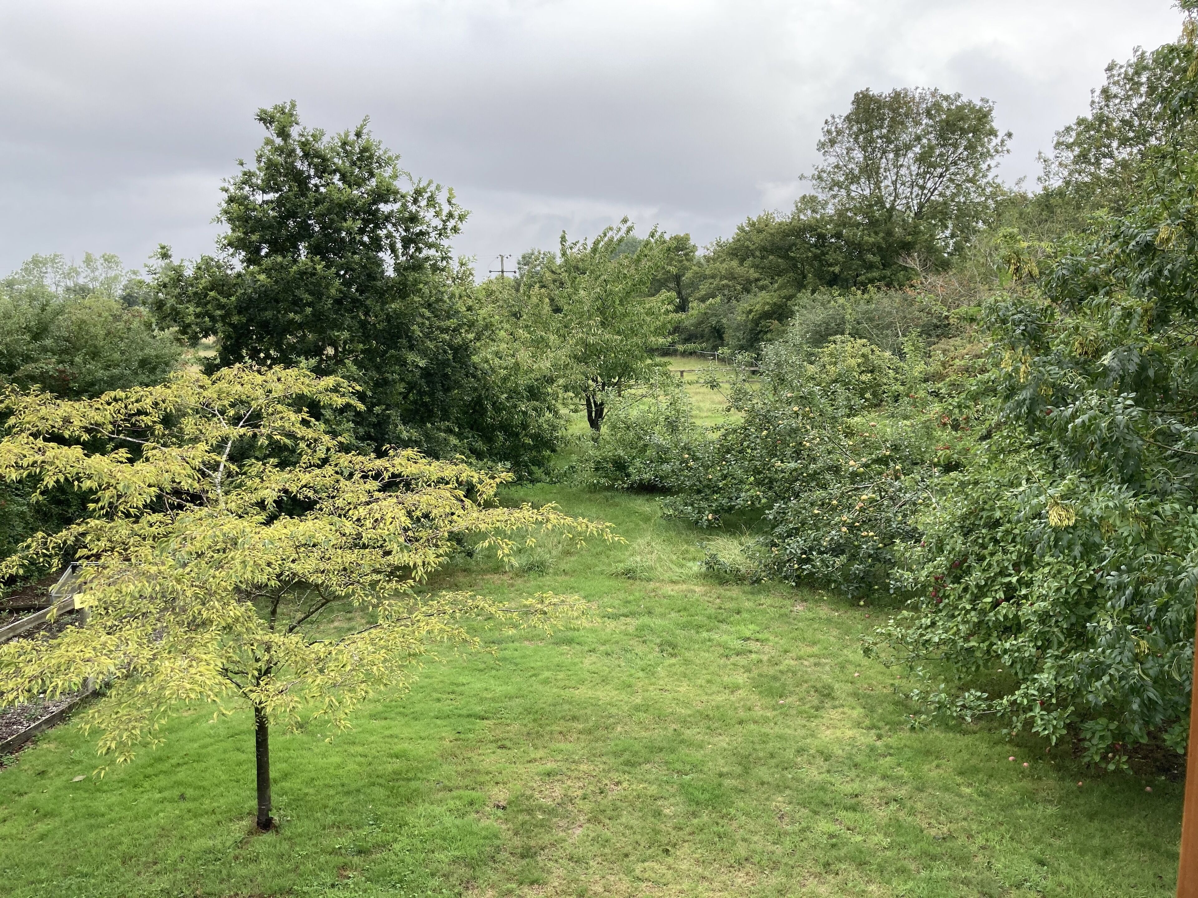 orchard cottage