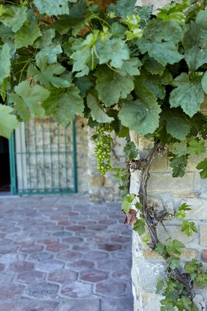 Exterior detail - Peace, Pool and Panoramas in the Monferrato, UNESCO's hidden gem in Italy (Montabone)