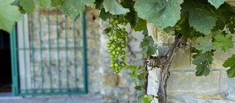 Peace, Pool and Panoramas in the Monferrato, UNESCO's hidden gem in Italy