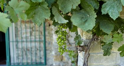 Peace, Pool and Panoramas in the Monferrato, UNESCO's hidden gem in Italy