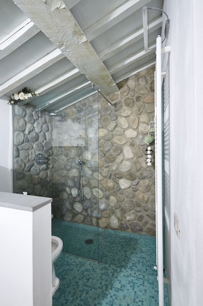 Regadera, secadora de cabello, bidet, toallas